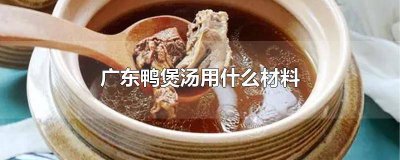 ​广东鸭煲汤用什么材料好喝 广东鸭煲汤用什么材料好呢