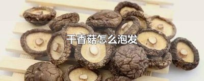 ​干香菇泡发能放多久 发泡好的干香菇能放多久