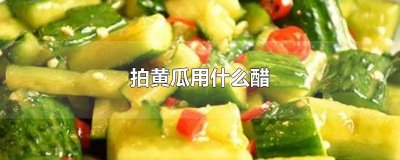 ​凉拌黄瓜用什么醋好吃窍门 凉拌黄瓜拿什么醋