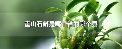 ​霍山是哪个省的哪个县 霍山石斛是哪个省的哪个县