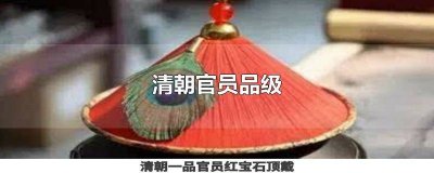 ​清朝官员品级排位 清朝官员品级服饰图案