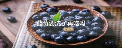 ​蓝莓要洗了再吃吗 蓝莓要洗了再吃吗怎么保存