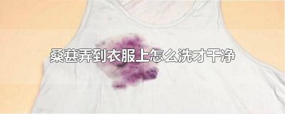 ​桑葚汁弄到衣服怎么办 桑椹弄到衣服上怎么办