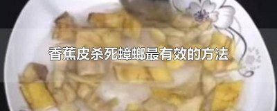 ​香蕉皮加什么可以去除蟑螂 用香蕉皮怎么灭蟑螂