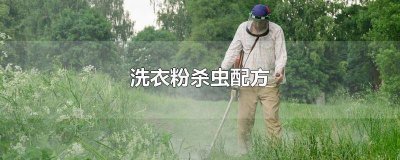 ​杀虫药加洗衣粉 洗衣粉可以用来杀虫吗