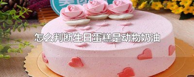 ​生日蛋糕动物奶油是什么 生日蛋糕是动物奶油还是植物奶油好