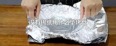 ​没有锡纸用什么垫烤盘好 没有锡纸用什么垫烤盘最好