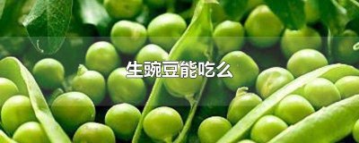 ​生豌豆能不能吃呀 生豌豆可以直接吃吗