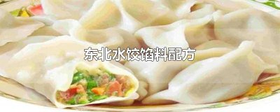 ​水饺馅的调料秘方视频 东北水饺做法