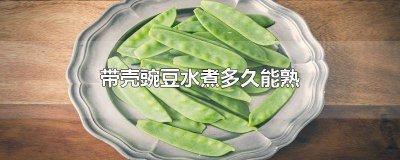 ​带壳的豆子煮多久能熟 带壳豌豆要煮多久才能熟