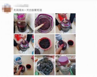 ​自制葡萄酒不够红是怎么回事？自酿葡萄酒为啥不红