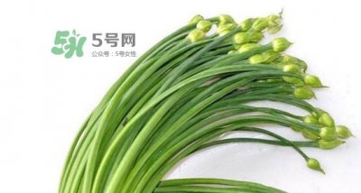 ​韭菜苔孕妇能吃吗？孕妇可以吃韭菜苔吗