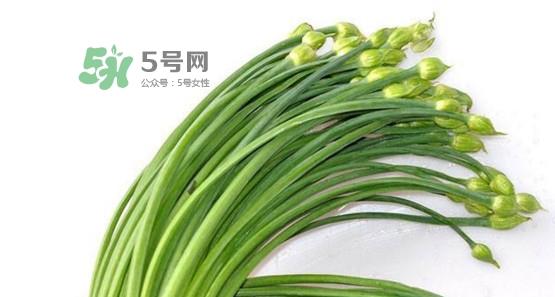 韭菜苔孕妇能吃吗？孕妇可以吃韭菜苔吗