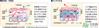 minon氨基酸乳液真假 minon乳液真假鉴别