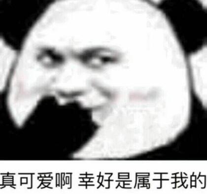 撩妹专用表情包全套3