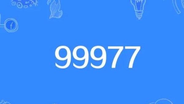 热梗8023数字代表是什么意思，男生发8023该怎么回复  4