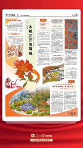 ​你的晚安请签收 ｜你知道广州市花为什么是木棉花吗？