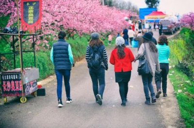 ​约起嘛！秋天买避暑房更划算！桐梓避暑房娄山看花海、吃黄焖鸡