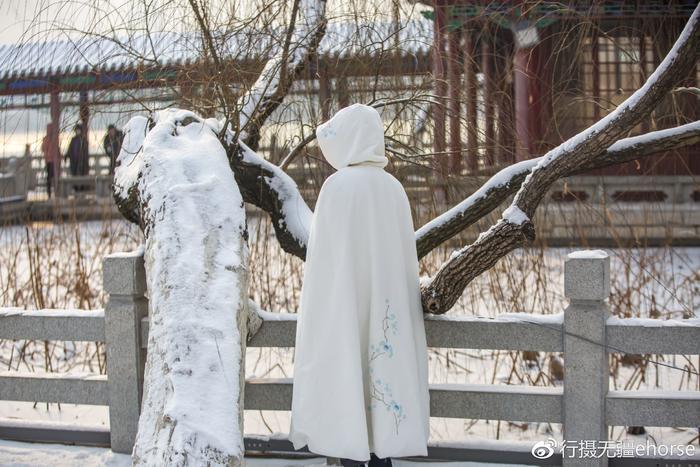 老舍笔下的济南，冬天有了雪花，就是一个完美的季节