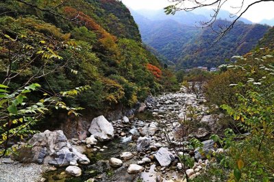 ​太平森林公园隶属于秦岭山脉，坐落于西安太平峪口，环境幽美