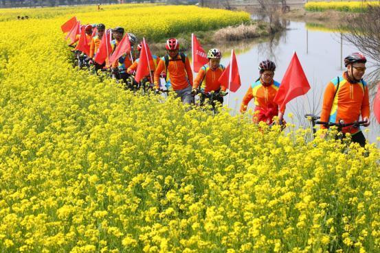 全国10大油菜花海, 江浙沪包揽四处, 江南一路菜花黄