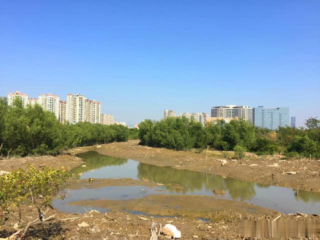 美丽的深圳前海湾，一起和你去吹吹海风