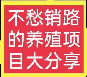 ​十个不用担心销路的养殖项目(2)谁养谁知道，看完请收藏