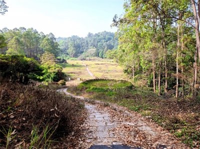 ​“九龙山花仙谷”景区已关闭？是真是假，一探究竟！