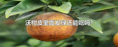 ​沃柑里面的皮是绿色的还能吃吗 沃柑皮里面有绿色能不能吃一