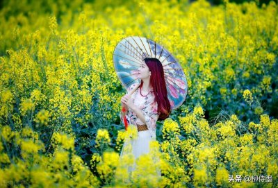 ​油菜花人像摄影，16张示例学7个构图，拍出优雅文艺梦幻美