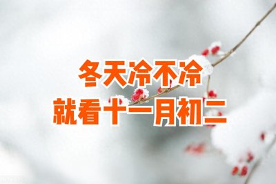 ​“冷不冷，就看十一月初二”，今日十一月初二，今年冬是冷冬吗？